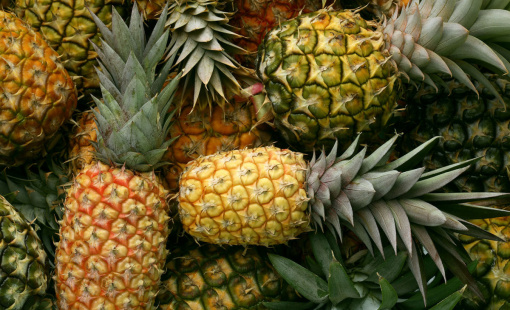 Loại quả giải khát bán đầy chợ Việt nhưng lại là biểu tượng sang chảnh ở Anh, giá lên tới 300 triệu đồng/quả