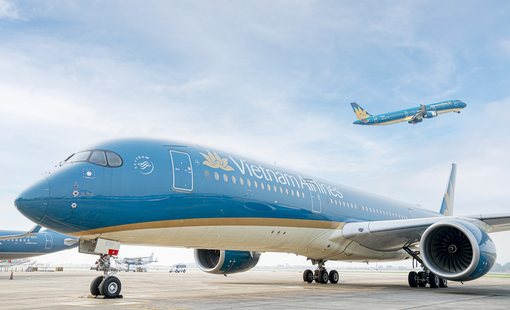 Vietnam Airlines xác nhận phi công dương tính với chất cấm