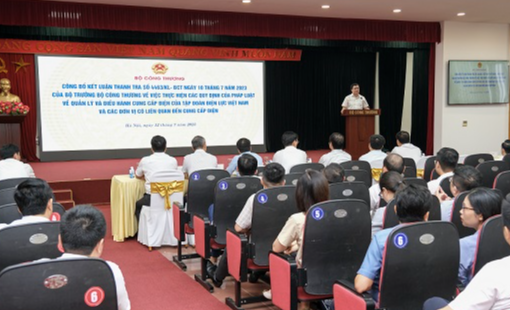 Có gì trong kết luận thanh tra EVN về cung ứng điện?