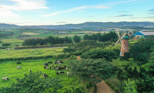 Giảm thiểu dấu chân carbon trong sản xuất tại doanh nghiệp sữa lớn nhất cả nước