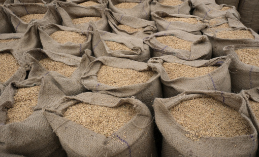 Rủi ro lạm phát toàn cầu bùng phát từ việc Ấn Độ tính cấm xuất khẩu nhiều loại gạo