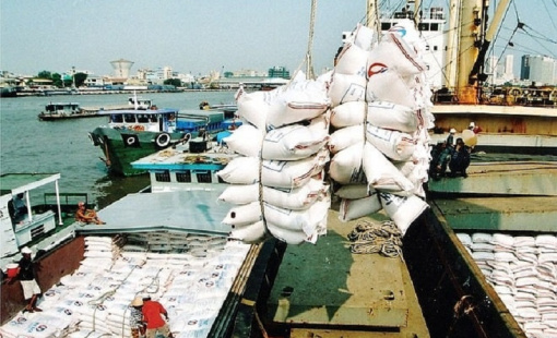 Xuất khẩu gạo tăng mạnh lượng lẫn giá trị nhưng nông dân trồng lúa vẫn nghèo, tại sao?