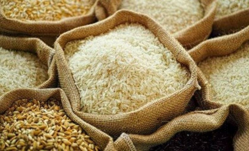 Gạo lãng phí ở châu Á thải ra hơn 600 triệu tấn khí nhà kính mỗi năm