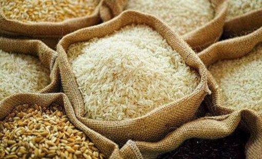 Gạo lãng phí ở châu Á thải ra hơn 600 triệu tấn khí nhà kính mỗi năm