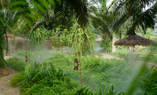 Bất chấp làn sóng tháo chạy, nhiều người giàu vẫn mạnh tay chi hàng chục tỷ mua đất vùng ven xây homestay