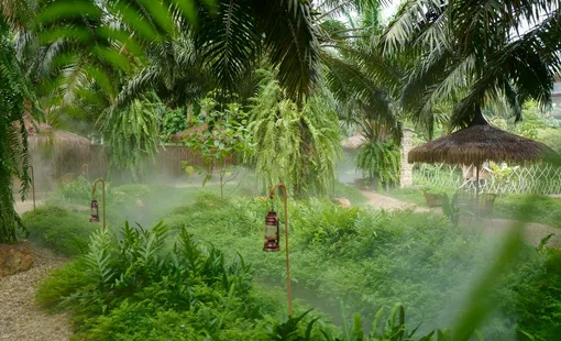 Bất chấp làn sóng tháo chạy, nhiều người giàu vẫn mạnh tay chi hàng chục tỷ mua đất vùng ven xây homestay