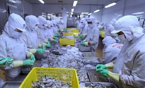 Kim ngạch xuất khẩu tôm sẽ không đạt 4 tỷ USD như mục tiêu ban đầu