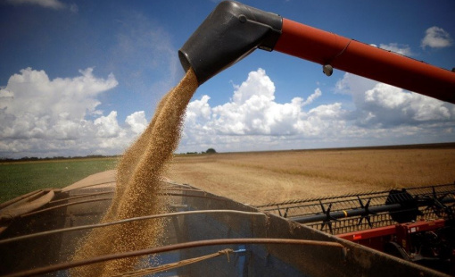 Nông sản chủ lực Mỹ thất thế ở thị trường số 1 thế giới Trung Quốc: Bị vượt mặt bằng "tỷ số" gây sốc