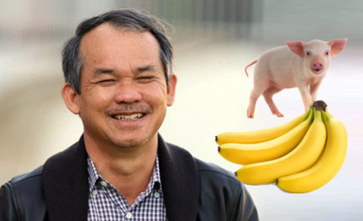 Dù mảng heo hồi phục trong quý 2/2023, Hoàng Anh Gia Lai thoát lỗ là nhờ lợi nhuận khác