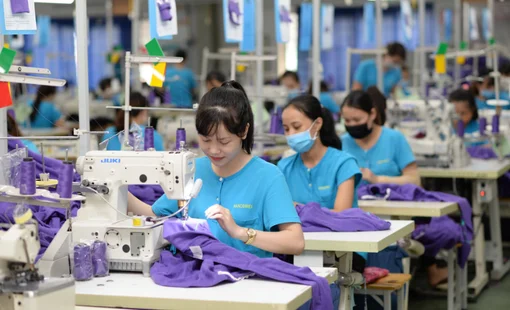 Hụt đơn hàng, Vinatex báo lãi quý 2 sụt giảm 98% so với cùng kỳ năm trước
