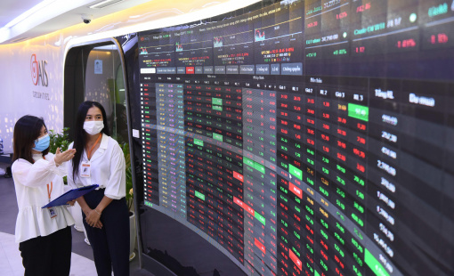 Hiệu suất Pyn Elite Fund ghi nhận tháng thứ 2 liên tiếp “thua” VN-Index