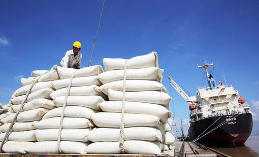 Lệnh cấm xuất khẩu gạo của các nước khiến giá lúa, gạo tăng “thẳng đứng”