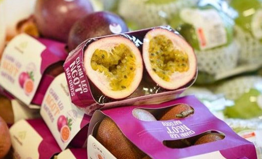 Endurance Capital Vietnam đã bán hết 1,47 triệu cổ phiếu, không còn là cổ đông NAF