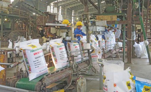 Mỗi tấn phân bón đang phải "gánh" thêm 500.000 đồng vì không bị áp thuế