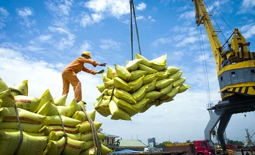 Xuất khẩu tăng trưởng tốt, giá gạo cao, vì sao một số doanh nghiệp ngành gạo vẫn lỗ?
