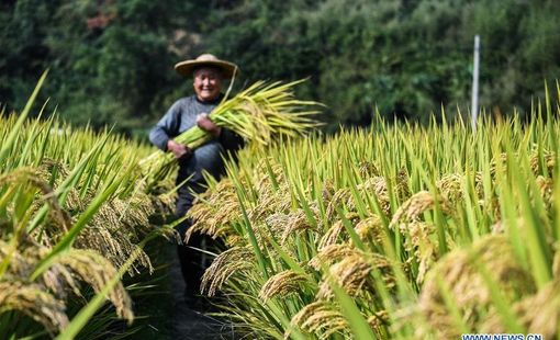 Lý do Trung Quốc đang đau đầu tìm cách "nuôi" 1,4 tỷ dân