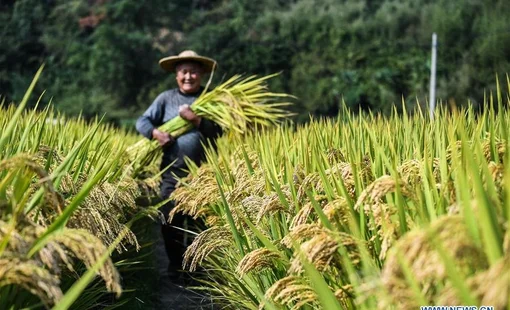 Lý do Trung Quốc đang đau đầu tìm cách "nuôi" 1,4 tỷ dân