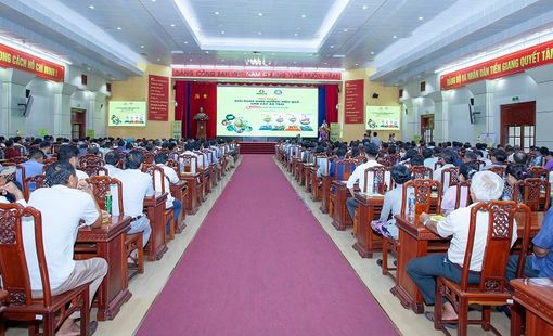 Tăng năng suất và lợi nhuận nhờ sử dụng NPK Cà Mau công nghệ Polyphosphate