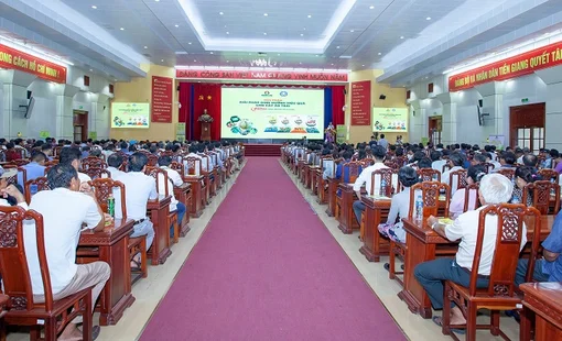 Tăng năng suất và lợi nhuận nhờ sử dụng NPK Cà Mau công nghệ Polyphosphate