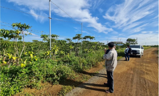 Hy hữu lãi hơn 9 tỷ đồng nhờ bán chênh mảnh đất nông nghiệp tại quận 9, TP.HCM