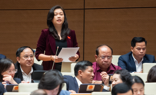 Đại biểu Quốc hội: Việc khống chế tỷ lệ sở hữu vốn ngân hàng không có nhiều ý nghĩa