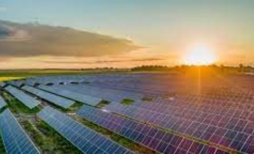 Licogi 13, Halcom, Tập đoàn Sao Mai... bị tỉnh Hậu Giang bãi bỏ chủ trương đầu tư các dự án điện mặt trời