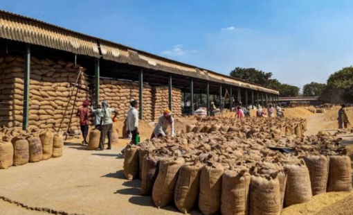 Vượt Trung Quốc, một quốc gia Đông Nam Á trở thành khách hàng lớn thứ 2 của gạo Việt, xuất khẩu tăng đột biến gần 1.000%