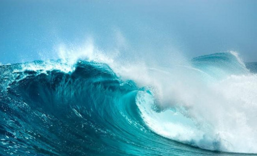 Top cổ phiếu tăng/ giảm mạnh nhất tuần: Hàng loạt cổ phiếu tăng tốc "đón sóng" KQKD quý 4, có mã bứt phá 100%