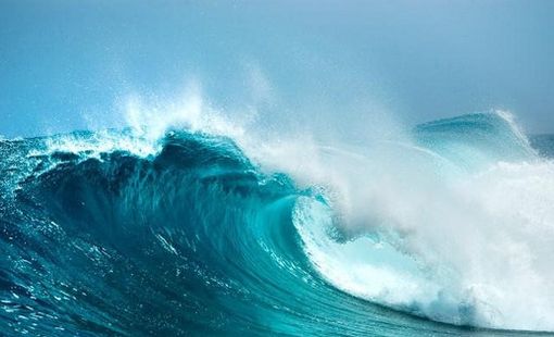 Top cổ phiếu tăng/ giảm mạnh nhất tuần: Hàng loạt cổ phiếu tăng tốc "đón sóng" KQKD quý 4, có mã bứt phá 100%
