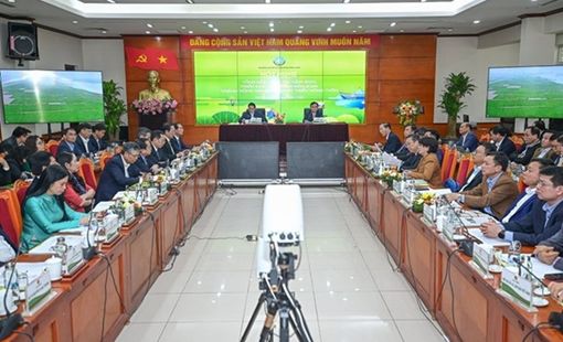 Năm 2023: Nông nghiệp vượt "cơn gió ngược" thu về trên 53 tỷ USD