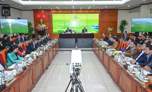 Năm 2023: Nông nghiệp vượt "cơn gió ngược" thu về trên 53 tỷ USD