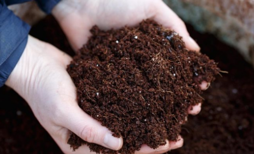 Nga bất ngờ tăng xuất khẩu một mặt hàng đến Việt Nam hơn 500%, giá rẻ cực hấp dẫn