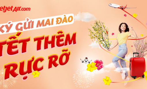 Đưa Xuân đi khắp mọi miền với dịch vụ vận chuyển mai, đào của Vietjet dịp Tết 2024