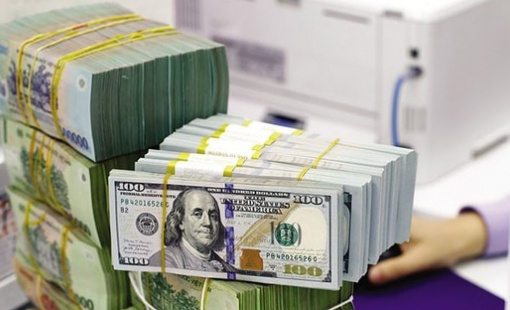 Dự báo xu hướng tỷ giá USD/VND trong quý 4/2024