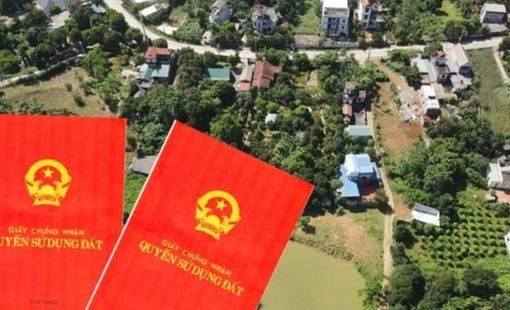 Nóng: Bán đất không "sổ đỏ" bị phạt nặng đến 100 triệu đồng từ 4/10
