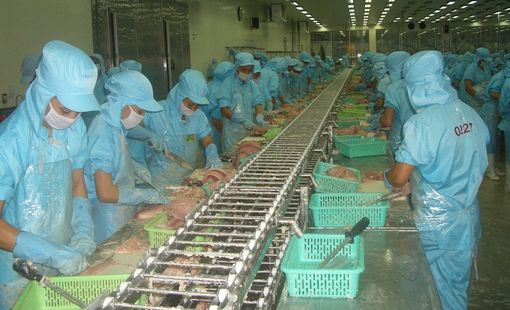 Xuất khẩu thủy sản sẽ đạt 9,5 tỷ USD trong năm nay