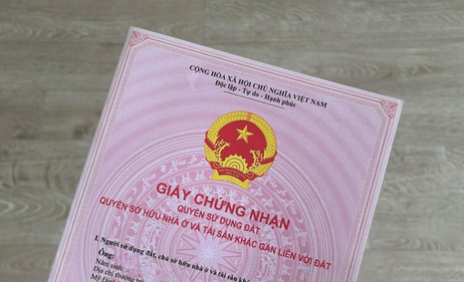 Ai sẽ được giảm 30% tiền thuê đất năm 2024?