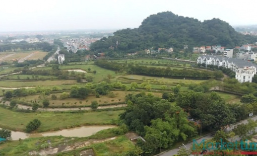 Huyện Quốc Oai (Hà Nội) dừng đấu giá, trả cọc 39 lô đất