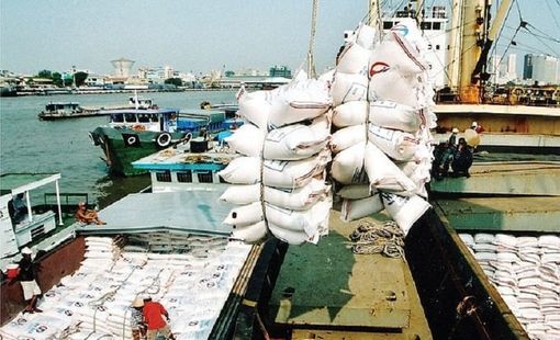 Nhập khẩu gạo của Philippines dự báo đạt 4,7 triệu tấn trong năm nay