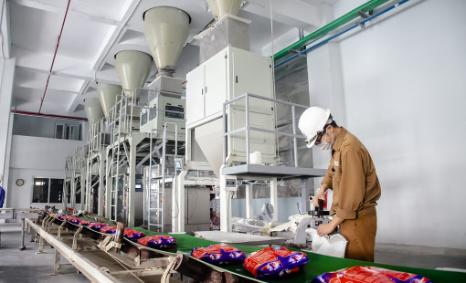 Lợi nhuận quý III/2024 của Hóa chất Đức Giang tiếp tục "đi lùi", mỗi ngày thu hơn 2,2 tỷ đồng lãi tiền gửi