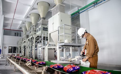 Lợi nhuận quý III/2024 của Hóa chất Đức Giang tiếp tục "đi lùi", mỗi ngày thu hơn 2,2 tỷ đồng lãi tiền gửi