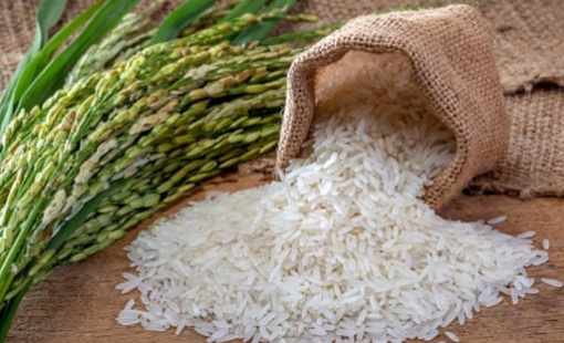 Ấn Độ bãi bỏ thuế xuất khẩu gạo đồ, giá gạo thế giới có thể giảm thêm nữa