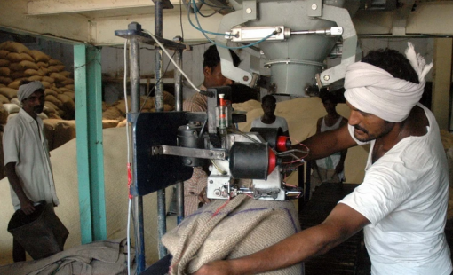 Xuất khẩu gạo của Ấn Độ được thúc đẩy sau loạt biện pháp hỗ trợ tích cực