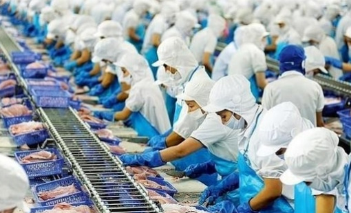 "Nữ hoàng" cá tra báo lãi quý 3 tăng 70%, khoản đầu tư vào DXS trích lập dự phòng quá nửa giá gốc