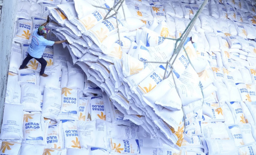 Bulog mở thầu mua 500 ngàn tấn gạo sau khi bất ngờ hủy gói thầu 340 ngàn tấn trước đó