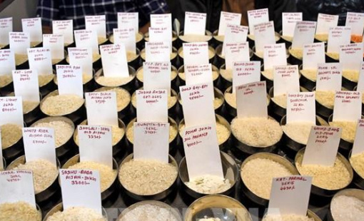 Giá gạo tại Ấn Độ giảm xuống mức thấp nhất trong hơn một năm