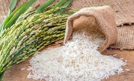 Giá gạo châu Á đồng loạt giảm mạnh