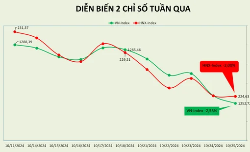 Tuần giảm mạnh của thị trường, VPB có tiền ngoại vào sau 14 tuần liên tiếp bị rút ra