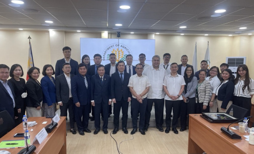 Gạo Việt tiếp tục ổn định tại thị trường Philippines