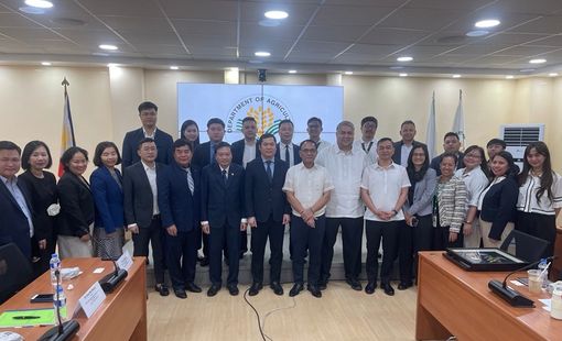Gạo Việt tiếp tục ổn định tại thị trường Philippines